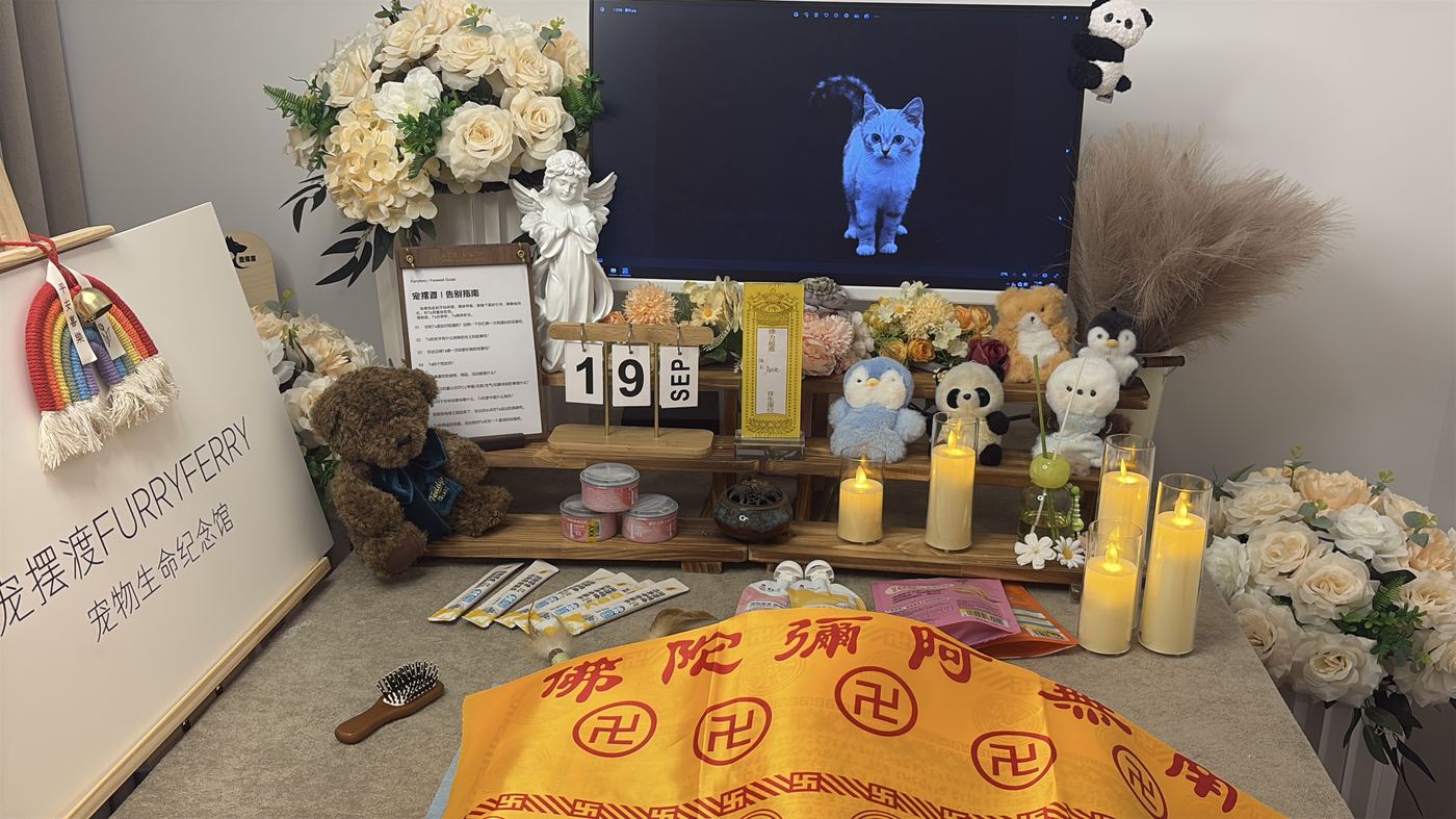 大连宠物殡葬办理指南：流程、费用与注意事项