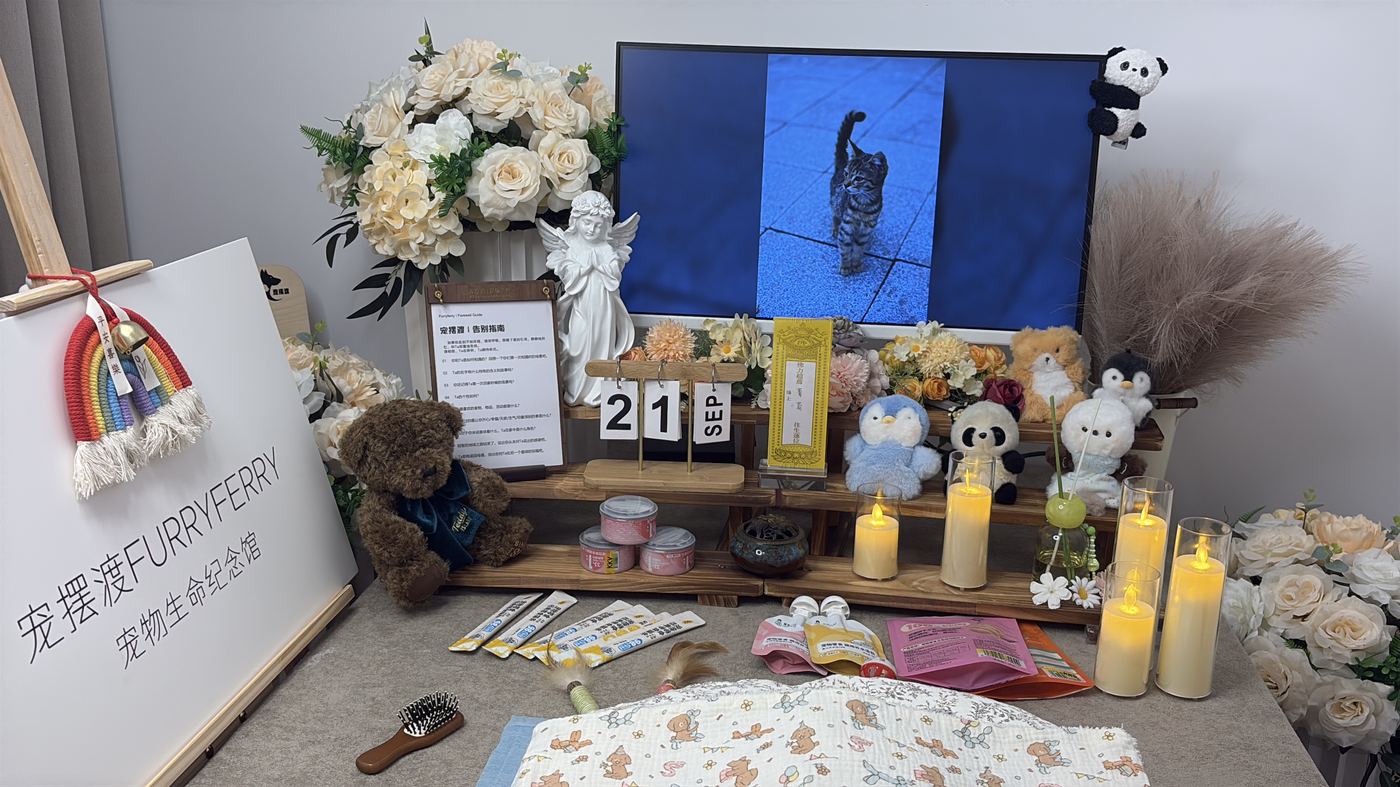 这份悲伤是真实的